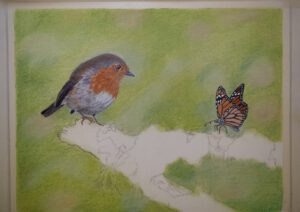 Entstehung des Bildes Rotkehlchen Robin