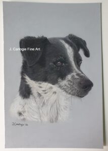 Hundeportrait mit Pastellkreiden gemalt
