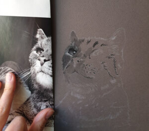 Katzenportrait Vorzeichnung