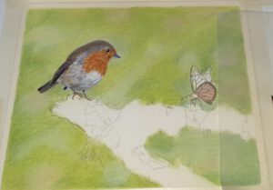 Rotkehlchen und Schmetterling in Buntstift