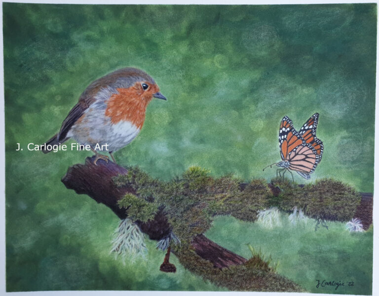 Rotkehlchen mit Schmetterling